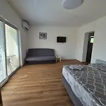 Appartement Vojkova *