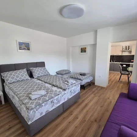 Appartement Vojkova *
