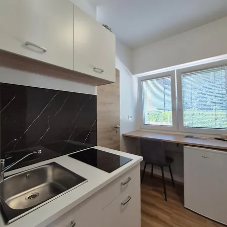 Διαμέρισμα Vojkova *