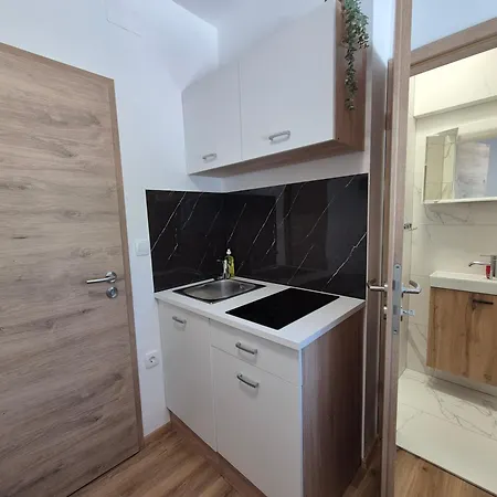 Vojkova Apartamento Liubliana