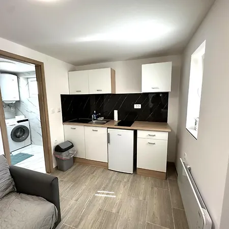 Vojkova Apartment *