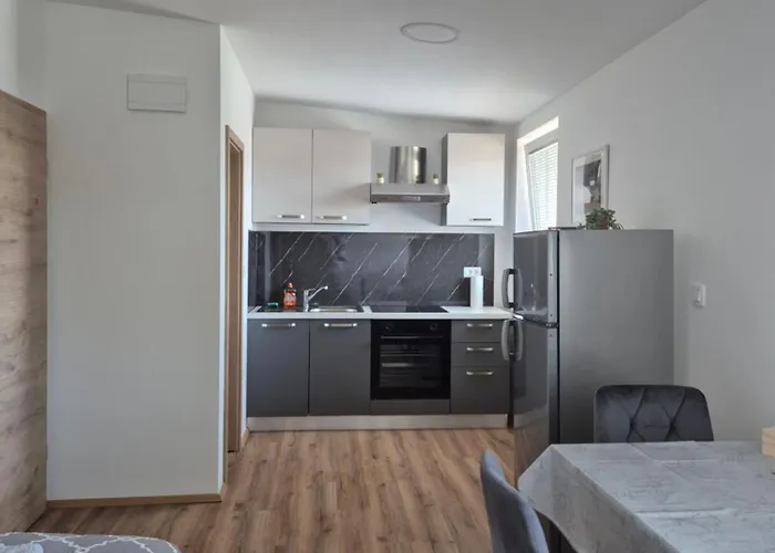 Appartement Vojkova *