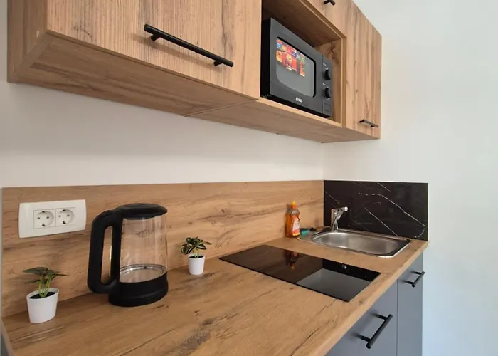 Appartement Vojkova *