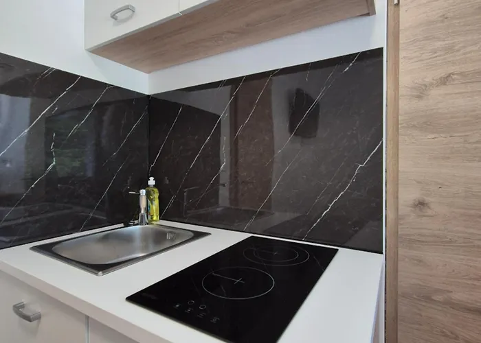 Appartement Vojkova *