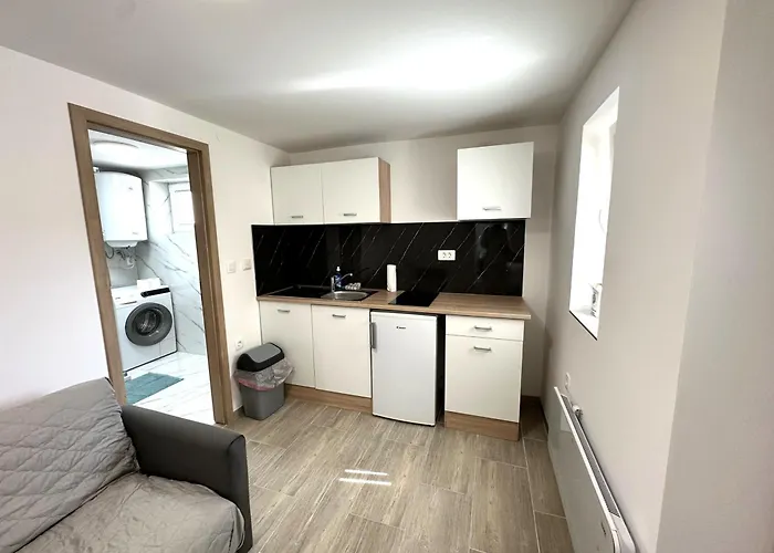 Vojkova Appartement *