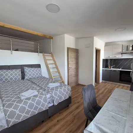 Appartement Vojkova *