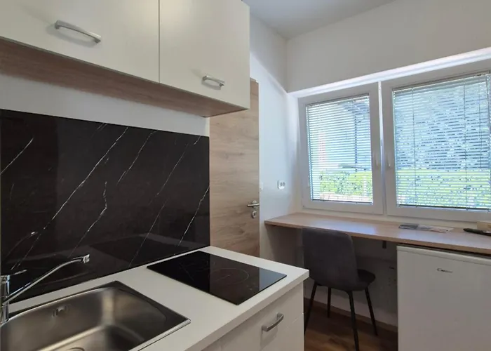 アパート Vojkova *